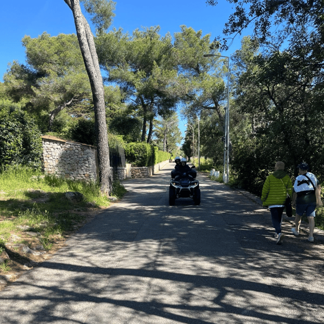 NICE BY ELECTRIC QUAD:panoramic tour from Nice - Should you book? My take