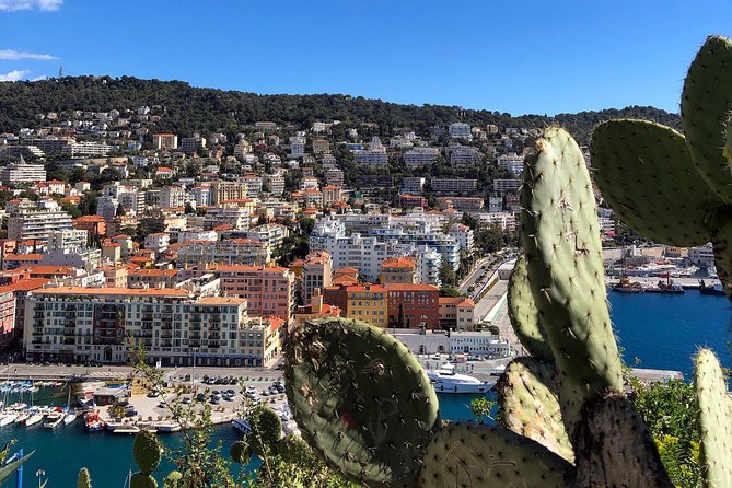 Nice City Best Highlights E-bike Tour - A World War memorial stop that shifts the mood