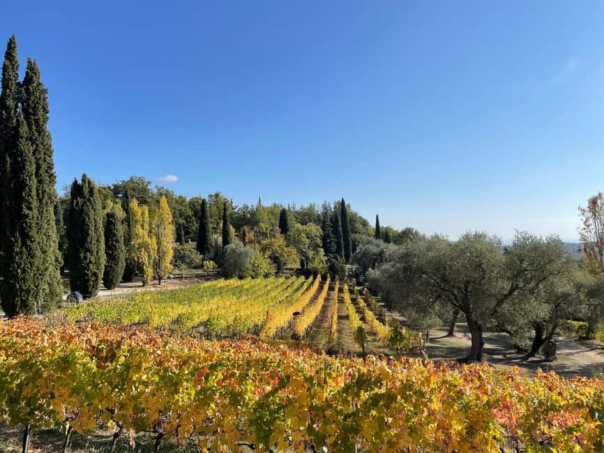 Nice: Full-Day Côtes de Provence Wine Tour - Stop one: your first tastings, where the day sets its theme
