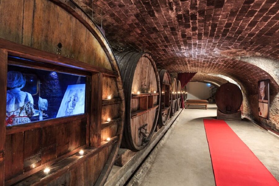 Nice: Full-Day Côtes de Provence Wine Tour - Nice pickup to countryside cruising in an air-conditioned minivan