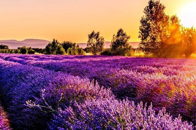Nice: Gorges of Verdon and Fields of Lavender Tour - Why the Verdon Gorge day trip feels worth it from Nice