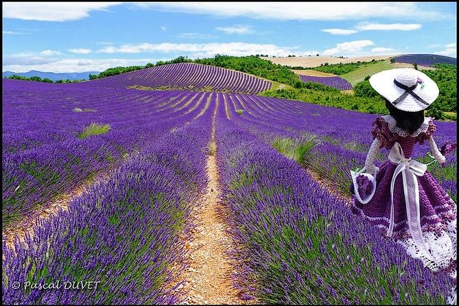 Nice: Gorges of Verdon and Fields of Lavender Tour - The ride out of Nice, hotel pickup, and the 9-hour rhythm