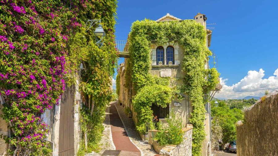 Nice: Medieval Villages Full-Day Guided Trip - Tourrettes-sur-Loup and the Violet Flower: Ice Cream, Ramparts, and Church Details