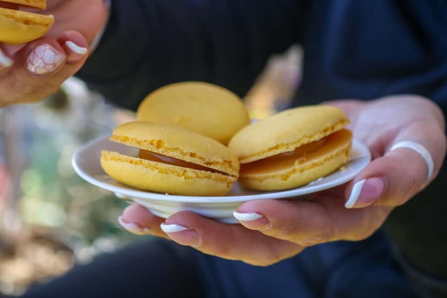 Nice: Old Town Food Walking Tour - Price and value: is $141 worth 210 minutes and 8-10 stops?