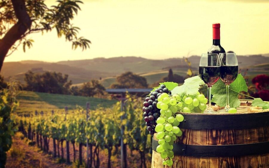 Nice: Provence Village Tour with Wine and Produce Tasting - Key highlights worth marking in your planner