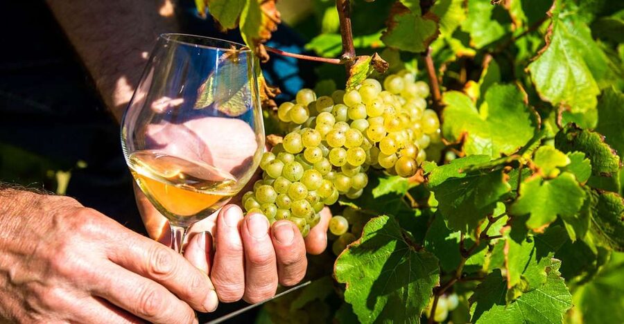 Nice: Provence Village Tour with Wine and Produce Tasting - Getting Out Of Nice: The Air-Conditioned Ride To Biot Glass And Opio