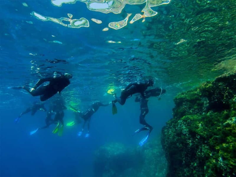 Nice: Snorkeling Speedboat Tour in Villefranche Bay - Key highlights you should care about