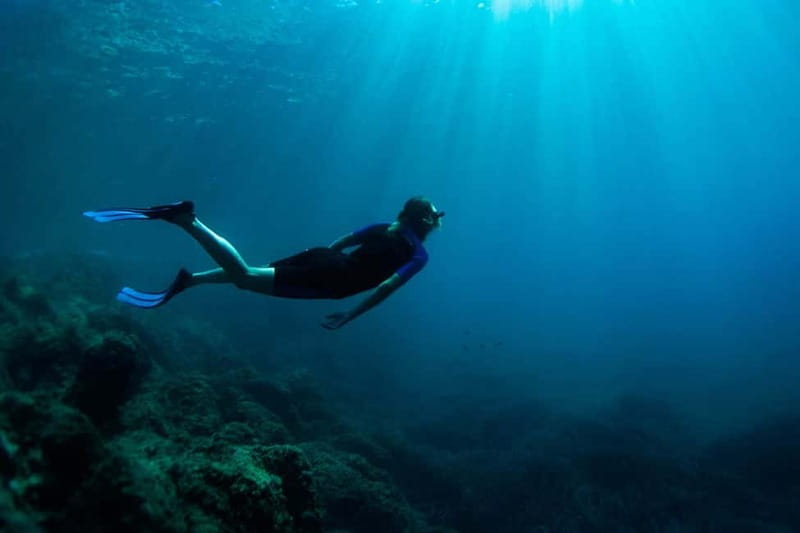 Nice: Snorkeling Speedboat Tour in Villefranche Bay - Price and value: is $68 a fair deal?