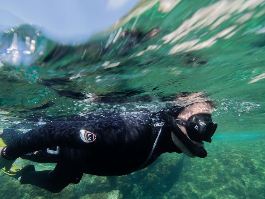 Nice: Snorkeling Speedboat Tour in Villefranche Bay - Villefranche Bay snorkeling for about 1 hour: what your time is really for