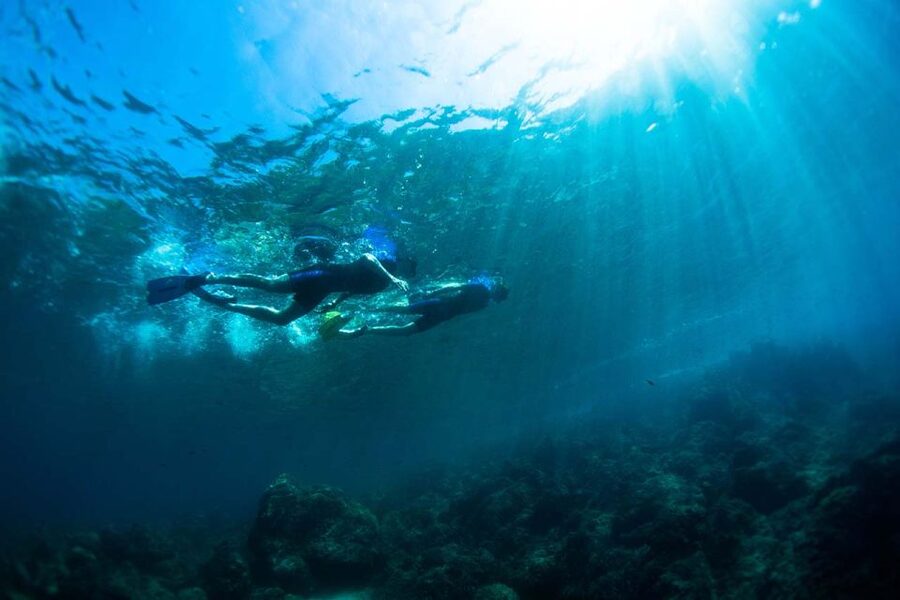 Nice: Snorkeling Speedboat Tour in Villefranche Bay - Gear and comfort tips that will make or break your snorkel
