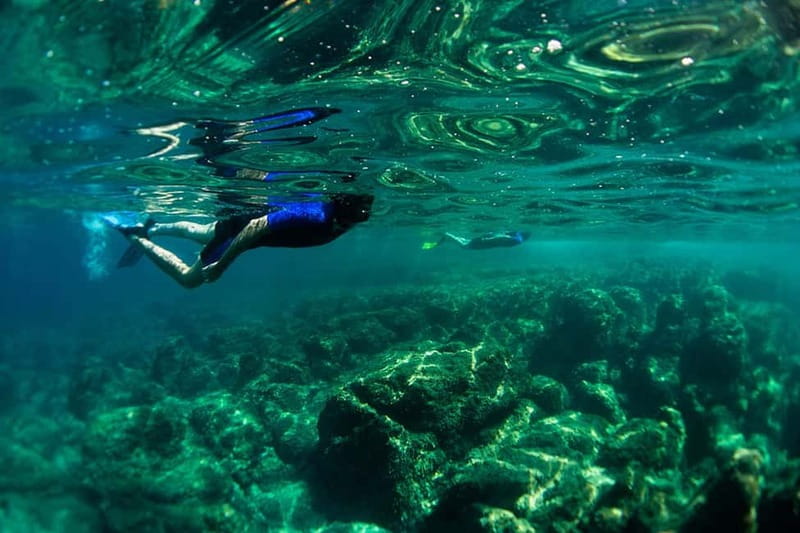 Nice: Snorkeling Speedboat Tour in Villefranche Bay - Meet at Chango Diving in Nice, get geared up, then go