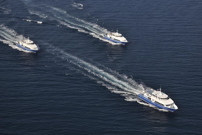Nice to St Tropez Ferry Ticket and Cruise - Price and value: is $125.13 actually a fair deal?