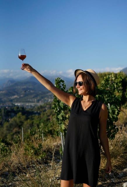 Nice: Vineyard Tour with Wine Tasting - Key highlights worth timing your day for