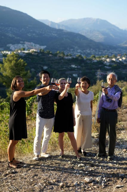 Nice: Vineyard Tour with Wine Tasting - Guided vineyard tour at Bellet: learning what the vines are doing
