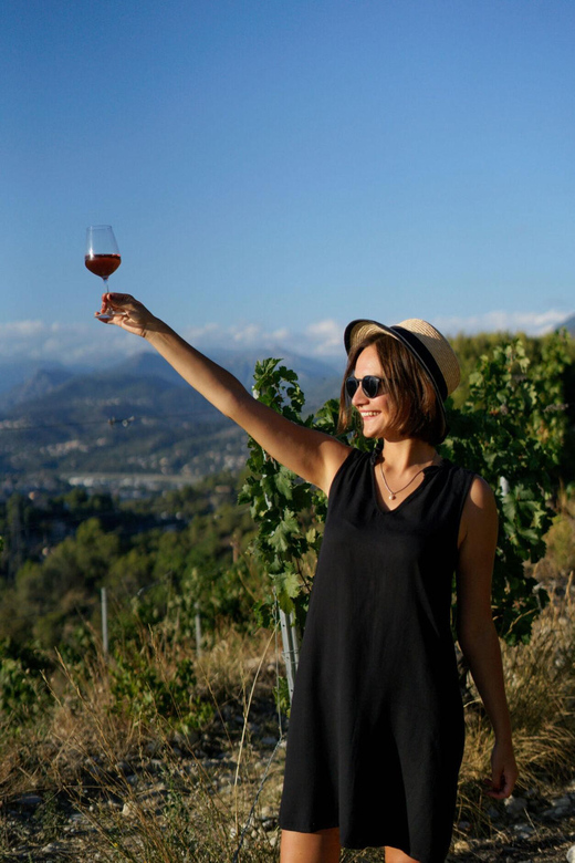 Nice: Vineyard Tour with Wine Tasting - Price and value: is $38 a good deal for a vineyard plus tasting?