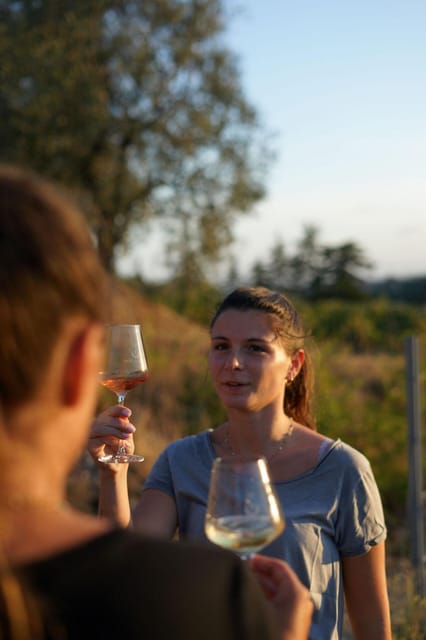 Nice: Vineyard Tour with Wine Tasting - Who should book this, and who might want another option