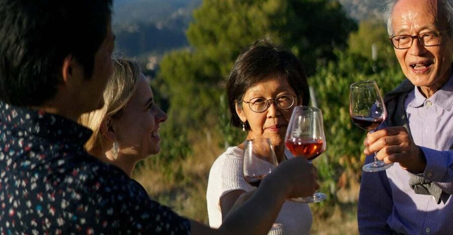Nice: Vineyard Tour with Wine Tasting - Getting there from Nice, with the least stress