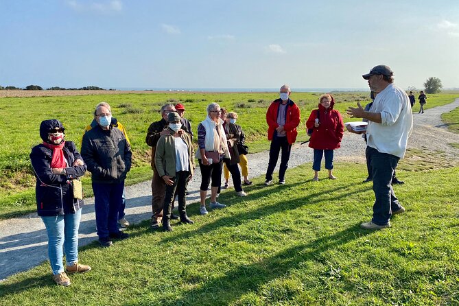 Normandy American D-Day Beaches Full Day Tour from Bayeux - Utah Beach Landing Museum: Artifacts and the B-26 Marauder