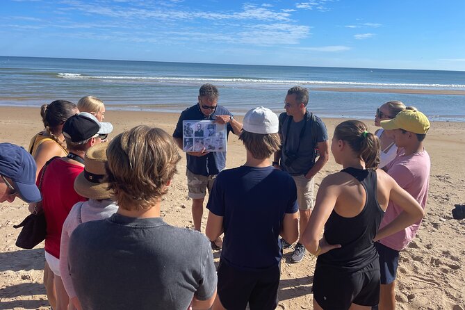 Normandy: Private tour D-Day landing beaches American sector - Price and Value: What You Get for $905.12