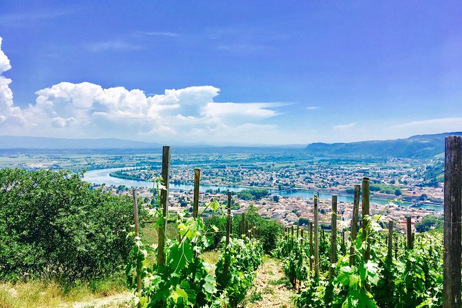 Northern Rhône Valley From Lyon Full day - Key Things I’d Plan Around