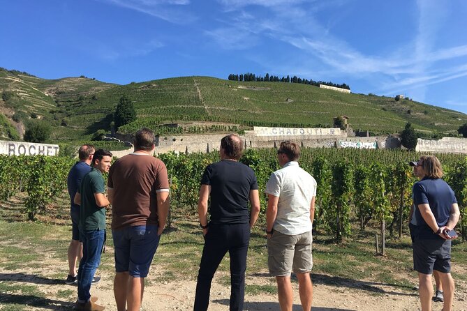Northern Rhône Valley From Lyon Full day - Meet at Place Bellecour, Then Let the Minivan Handle the Roads