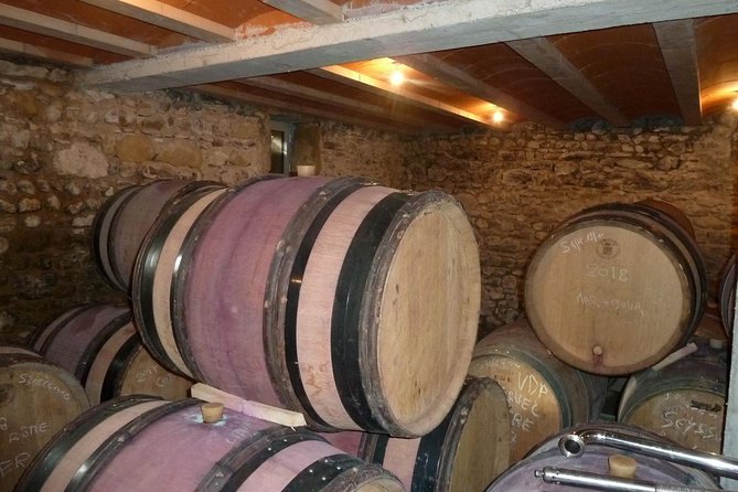 Northern Rhône Valley Wine tour from Lyon Half Day - Price and Value: Is $131.82 Worth It?