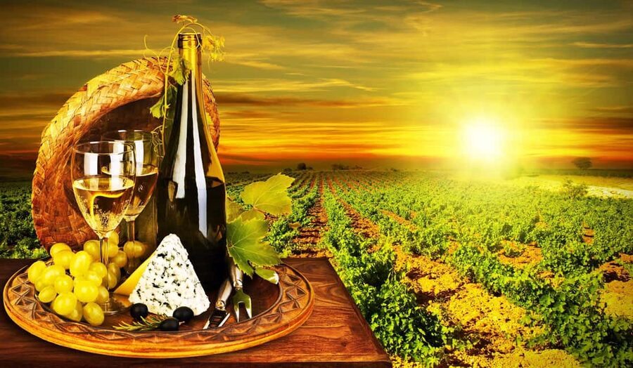 Organic Wine Tasting with Saint paul Half Day Tour from Nice - Key Highlights You’ll Care About
