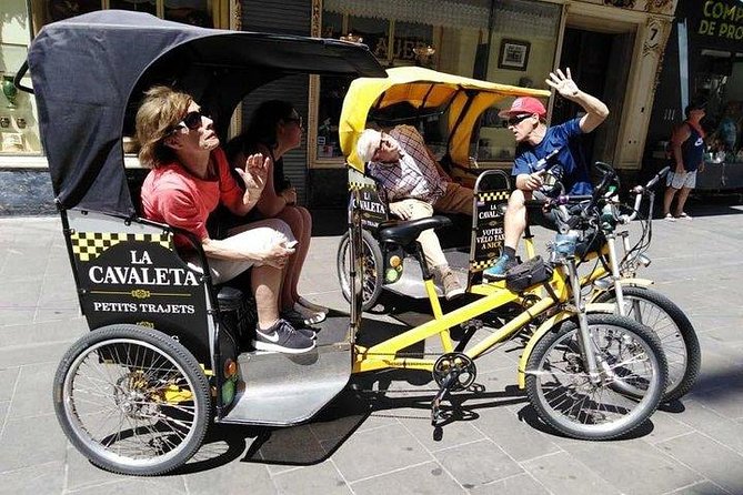 Original Nice city tour ( pedicab-vélo taxi) - Garibaldi Square and Palais de Justice: history in quick bursts