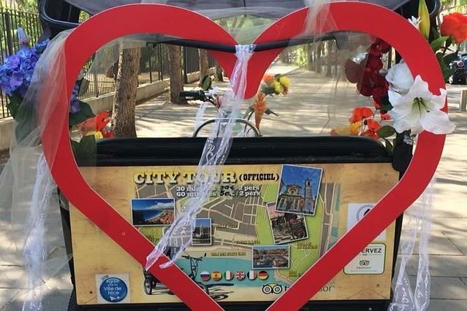 Original Nice city tour ( pedicab-vélo taxi) - Monument aux Morts and Quai Rauba Capeu: respectful, then romantic