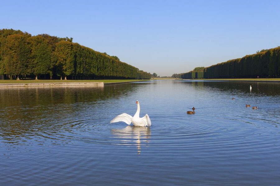 Palace of Versailles Guided Afternoon Tour from Paris - Versailles gardens free time and what you should look for
