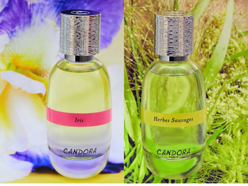 Paris: 2-Hour Perfume Creation Workshop - Key things I’d circle before you book