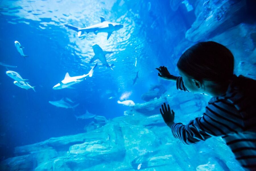 Paris: Aquarium de Paris Entrance Ticket - Key highlights to decide fast