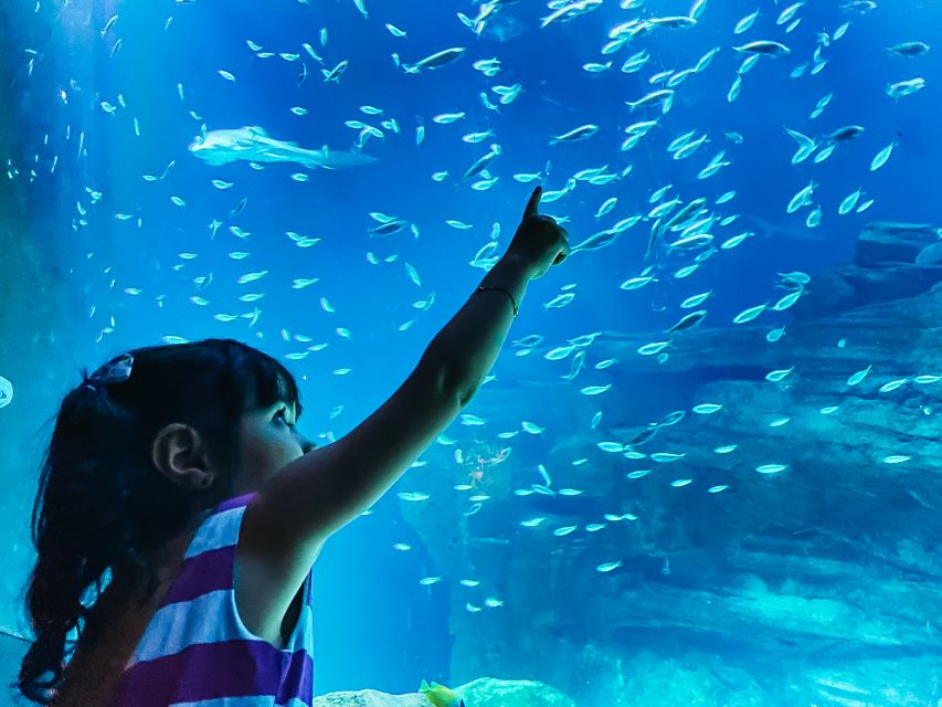 Paris: Aquarium de Paris Entrance Ticket - Arriving near Trocadéro: a rare Paris activity that works on any day