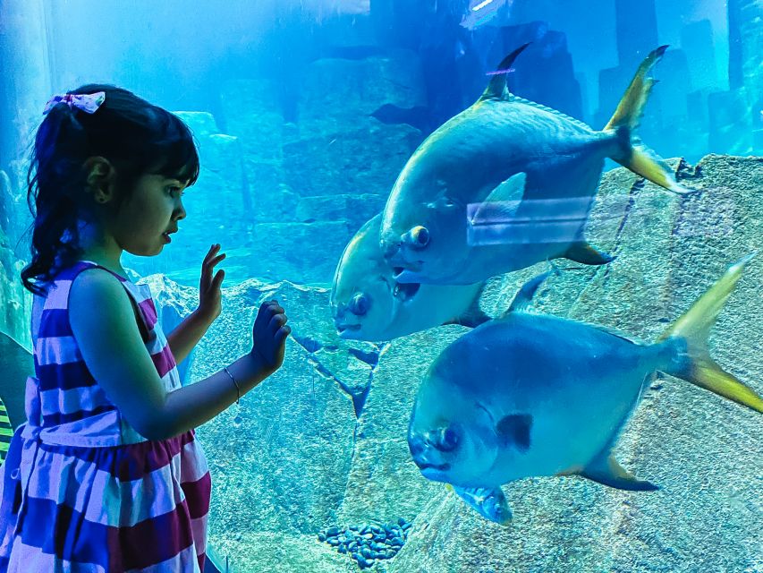 Paris: Aquarium de Paris Entrance Ticket - Jellyfish and the koi moment: the two exhibits that steal the day