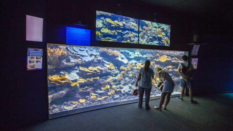 Paris: Aquarium de Paris Entrance Ticket - More than Paris water: sea life from far-flung places