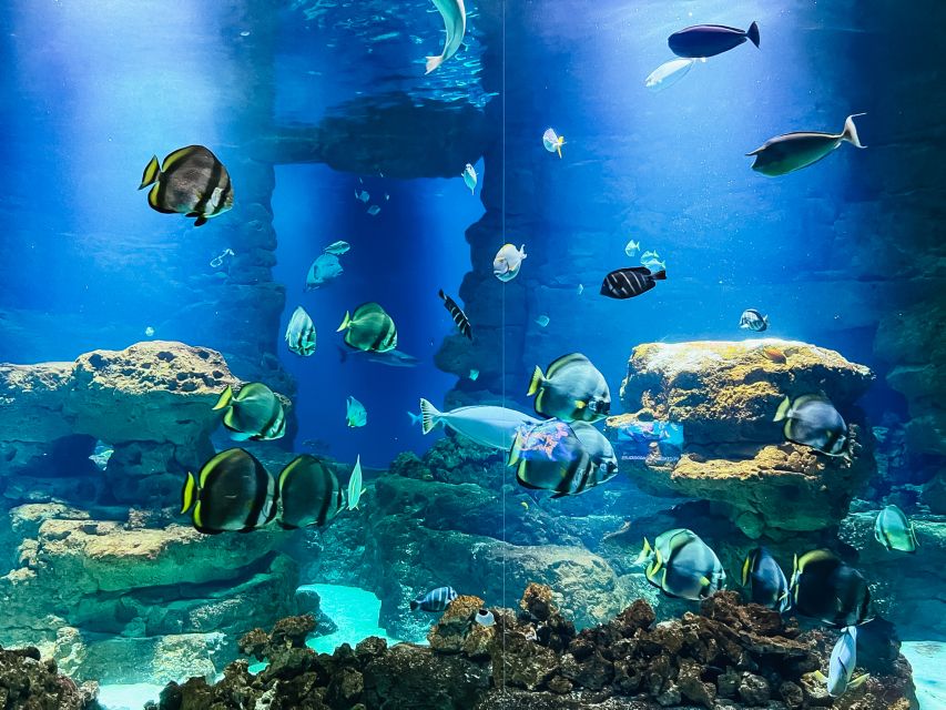 Paris: Aquarium de Paris Entrance Ticket - Cinema, documentaries, cartoons, workshops, and live fish shows