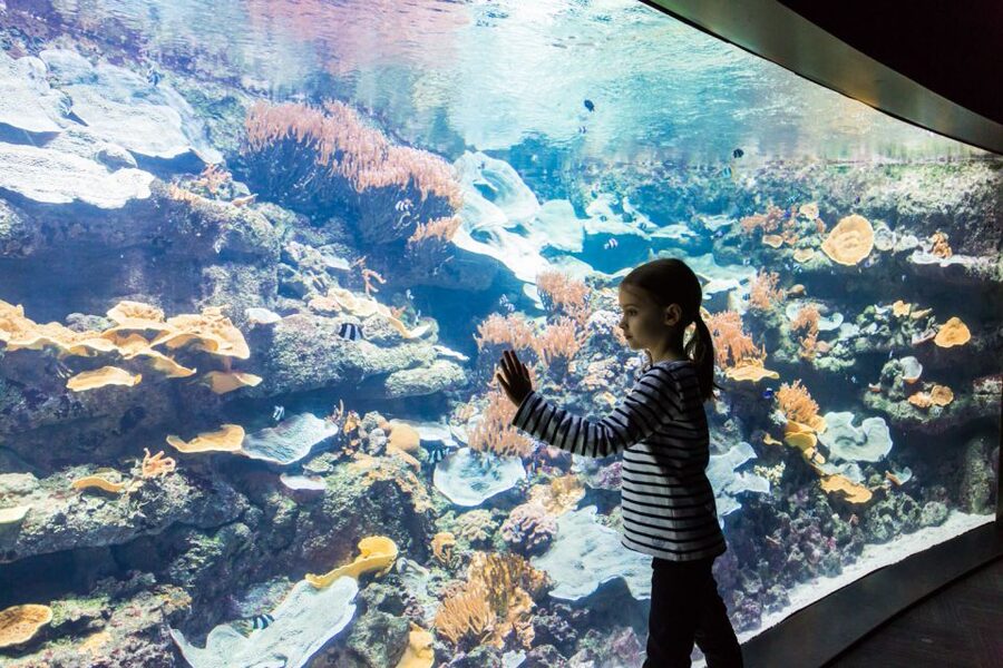 Paris: Aquarium de Paris Entrance Ticket - How long it takes: 29 minutes to enter, more time to enjoy