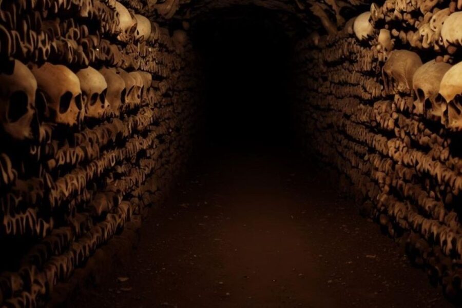 Paris: Catacombs, Audio Guide, and River Cruise Option - Price and value: is this worth $94?
