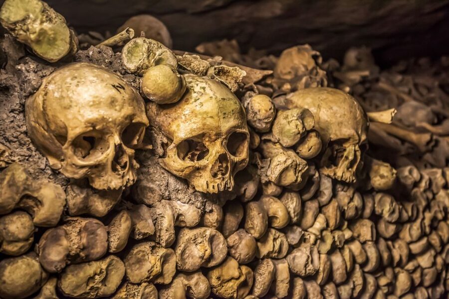 Paris: Catacombs Restricted Access Tour - Price and value: is $187 per person actually fair?