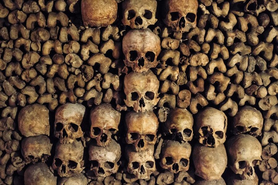 Paris: Catacombs Special Access Tour - Who Should Skip This Tour (Claustrophobia, Health, and Stairs)
