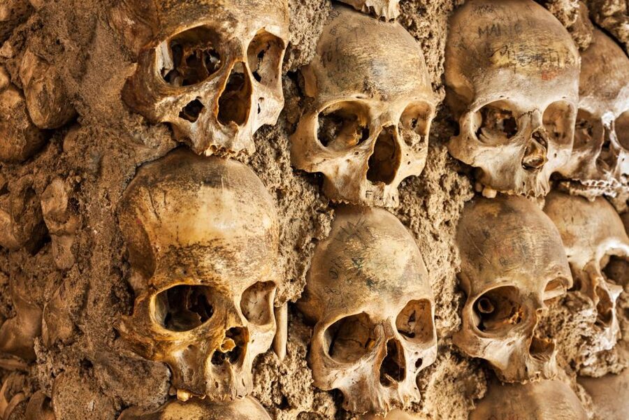 Paris: Catacombs Ticket and Seine River Cruise - Key things I’d watch for