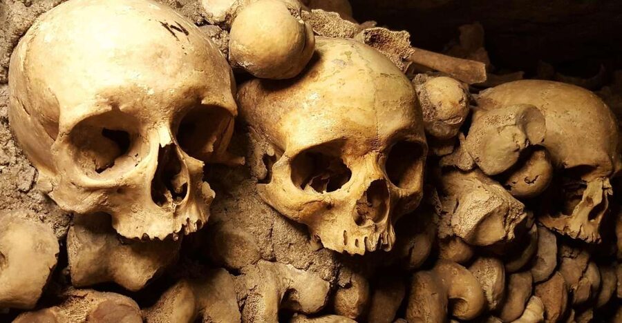 Paris: Catacombs Ticket and Seine River Cruise - Audio guides, QR codes, and the “self-guided” reality
