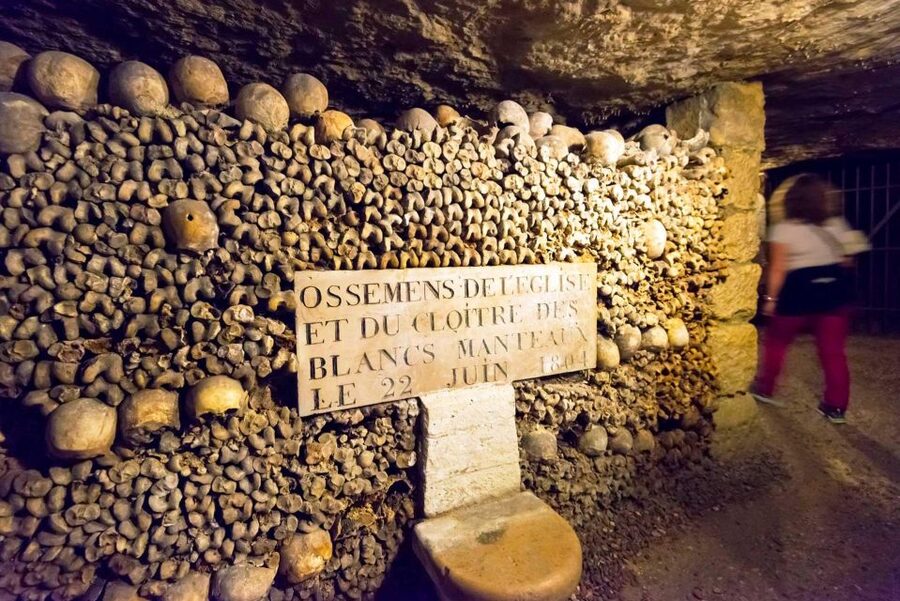 Paris: Catacombs Ticket and Seine River Cruise - How to plan the day when there is no transportation included