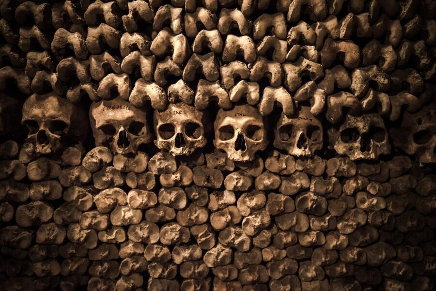 Paris: Catacombs Ticket and Seine River Cruise - Who this fits best (and who should skip it)
