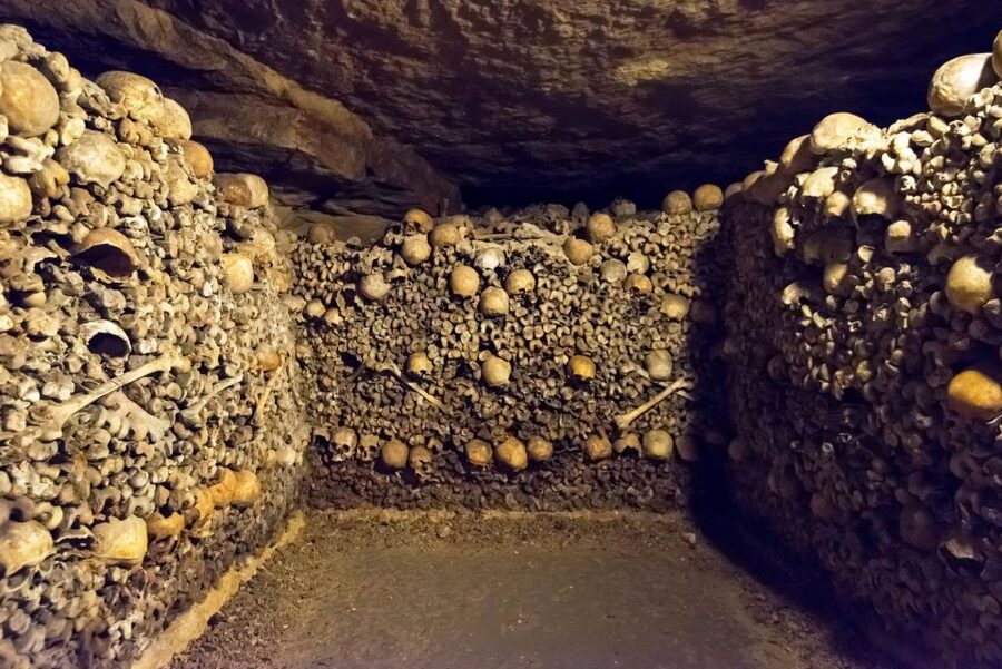 Paris: Catacombs Ticket and Seine River Cruise - The 131 steps down and 112 steps up (and how to make them easier)