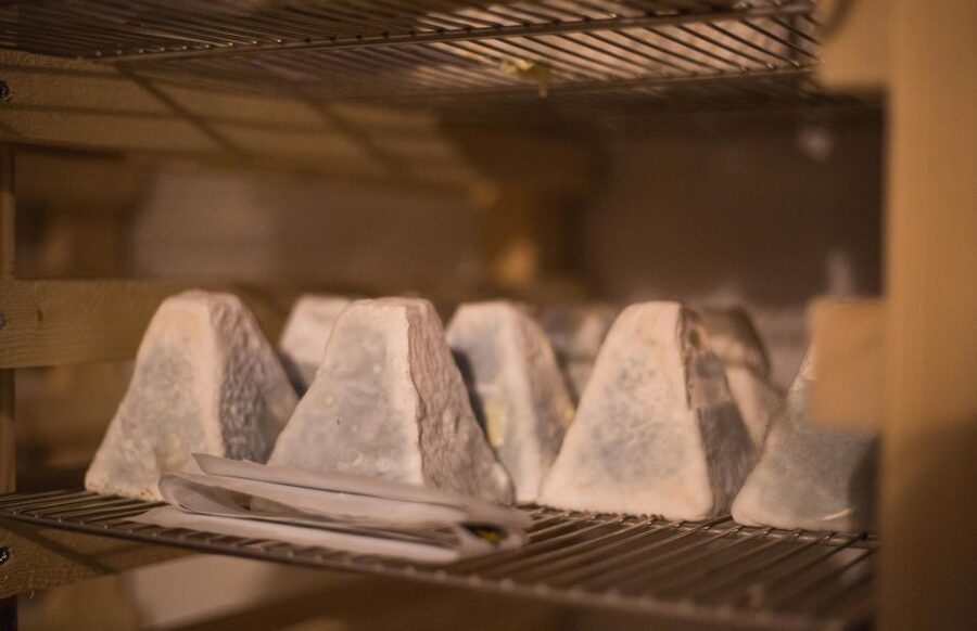 Paris: Cheese and Wine Class in a 17th Century Cellar - Inside the 90 minutes: how the class actually unfolds