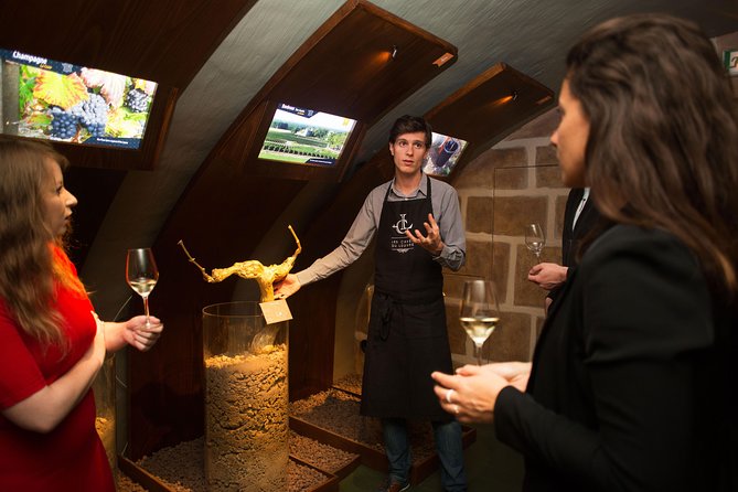 Paris - Guided Visit & Tasting in a Royal Wine Cellar - Who Should Book This Wine Cellar Visit