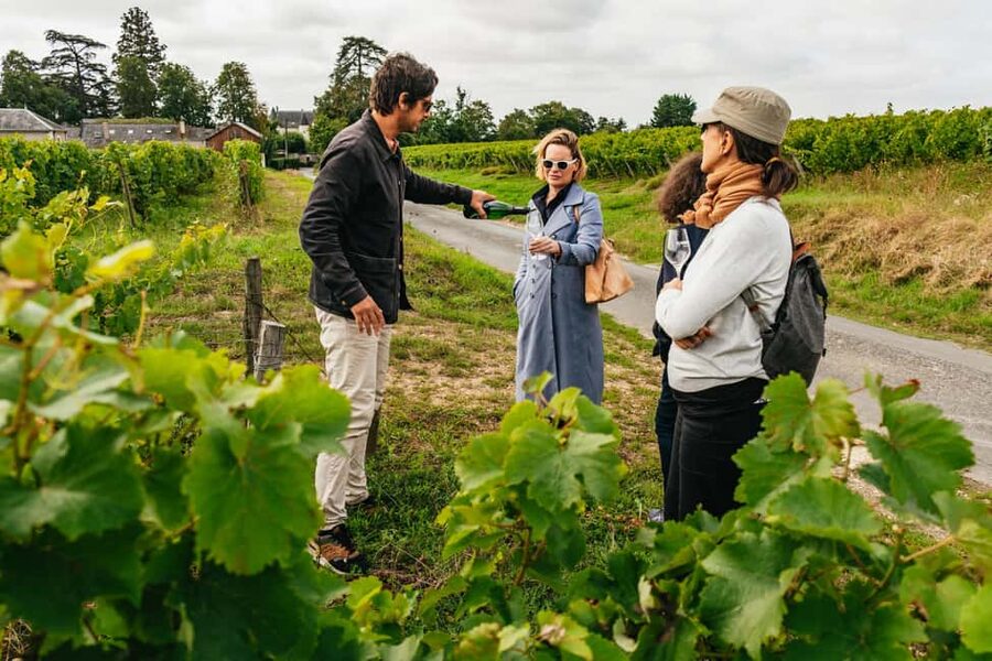 Paris: Loire Valley Chambord Castle, Wine Tasting & Lunch - The Loire wine drive: how to spot what you’re tasting later