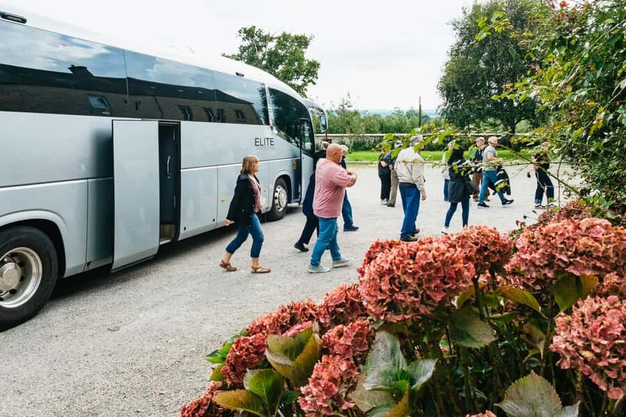 Paris: Normandy D-Day Sites Guided Day Trip with Lunch - Key things that make this tour hit