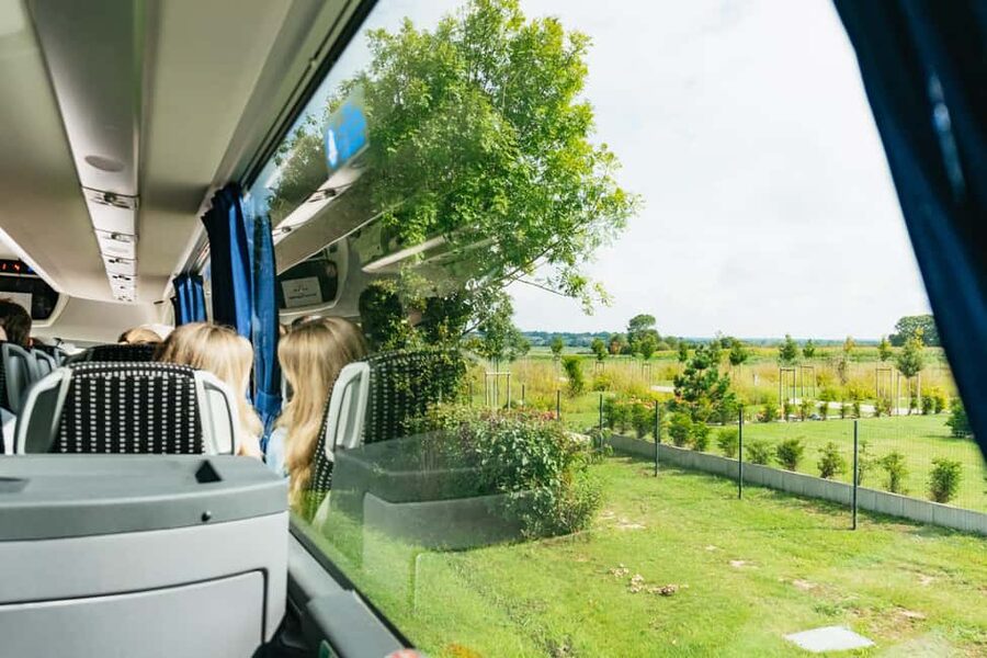 Paris: Normandy D-Day Sites Guided Day Trip with Lunch - Who should book this D-Day day trip